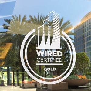 Wired Certified Gold
